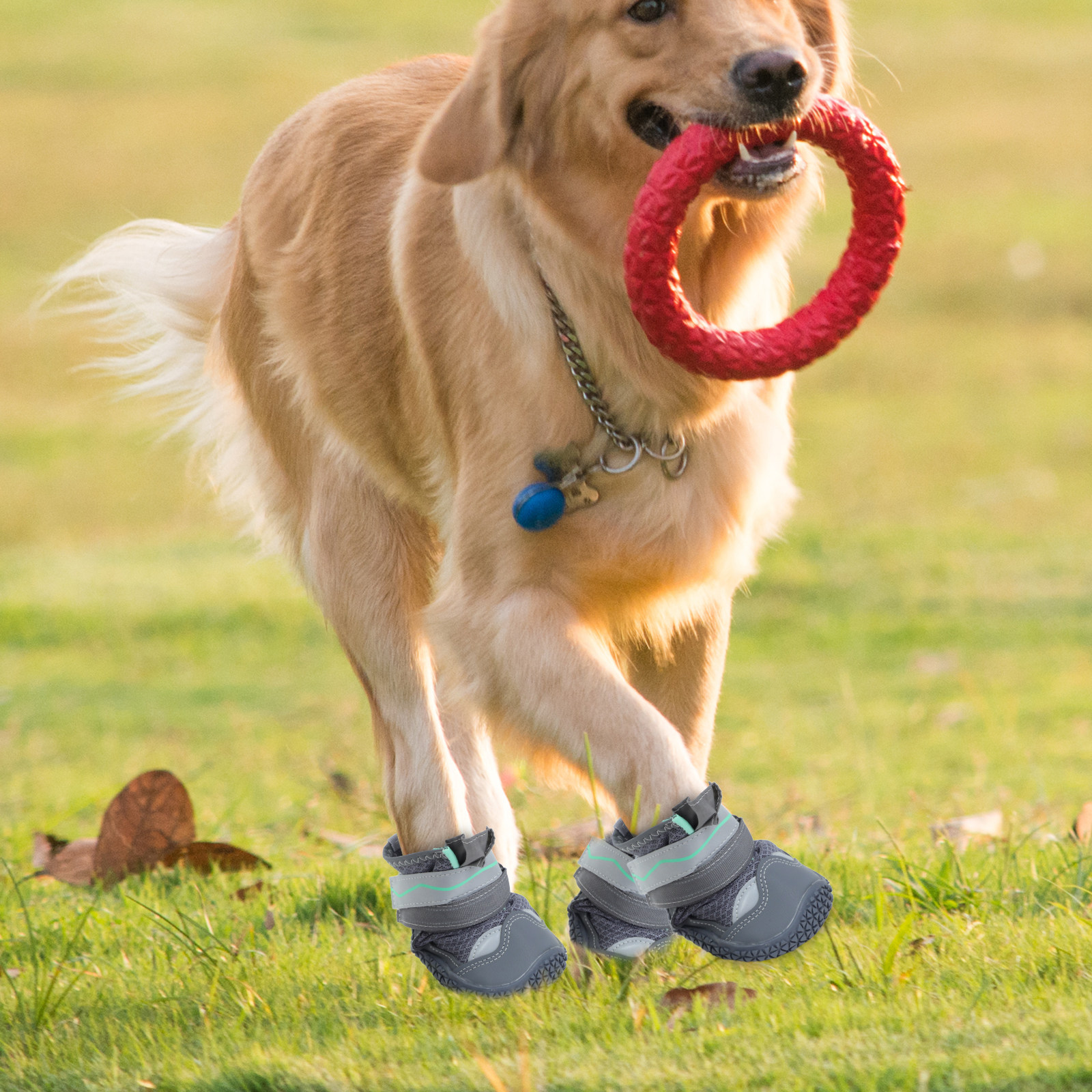 Dog Booties Paw Protector - 4Pcs Breathable Dog Shoes Non-Slip Puppy