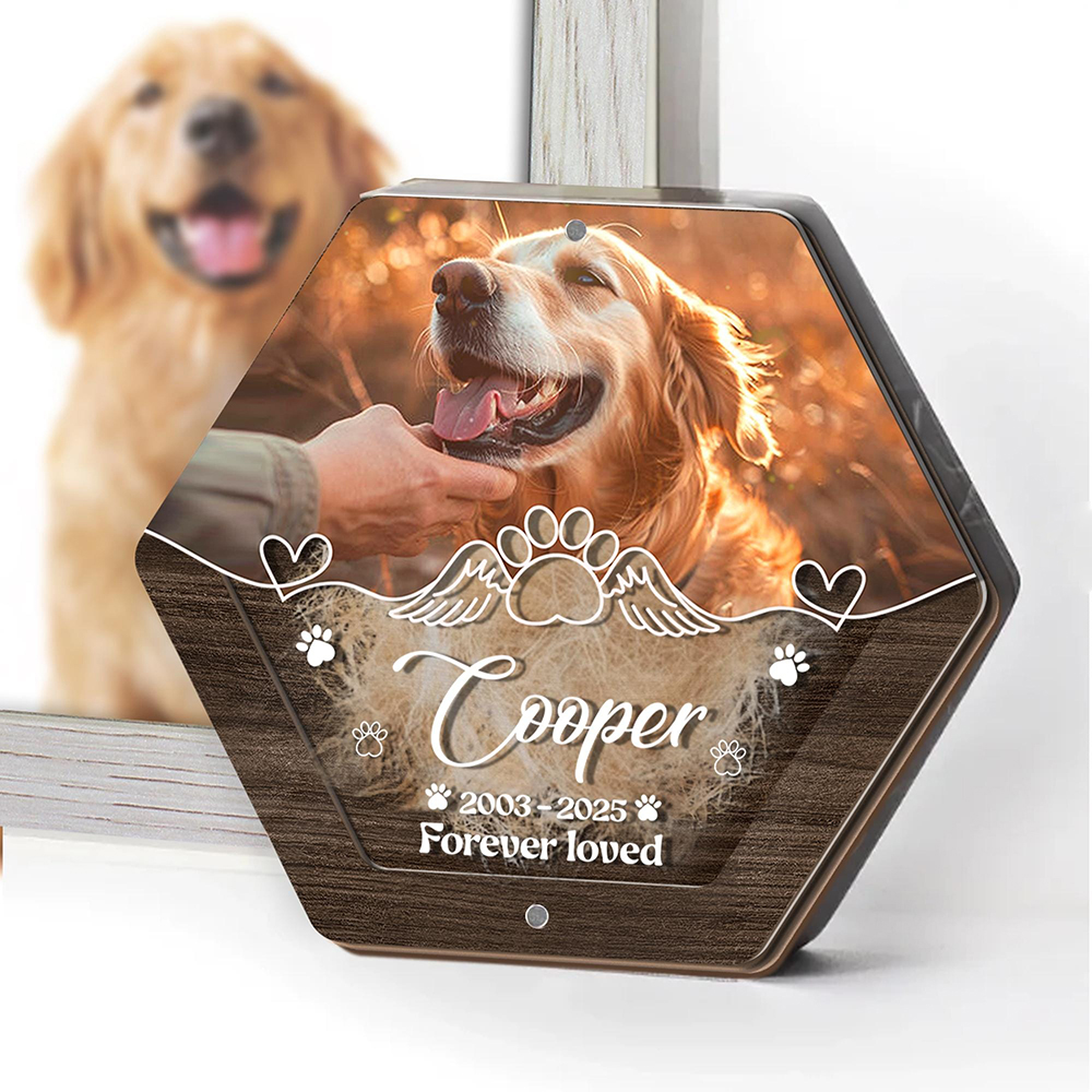 Pet Supplies Stores - Personalized Name Wooden Carving Pet Hair