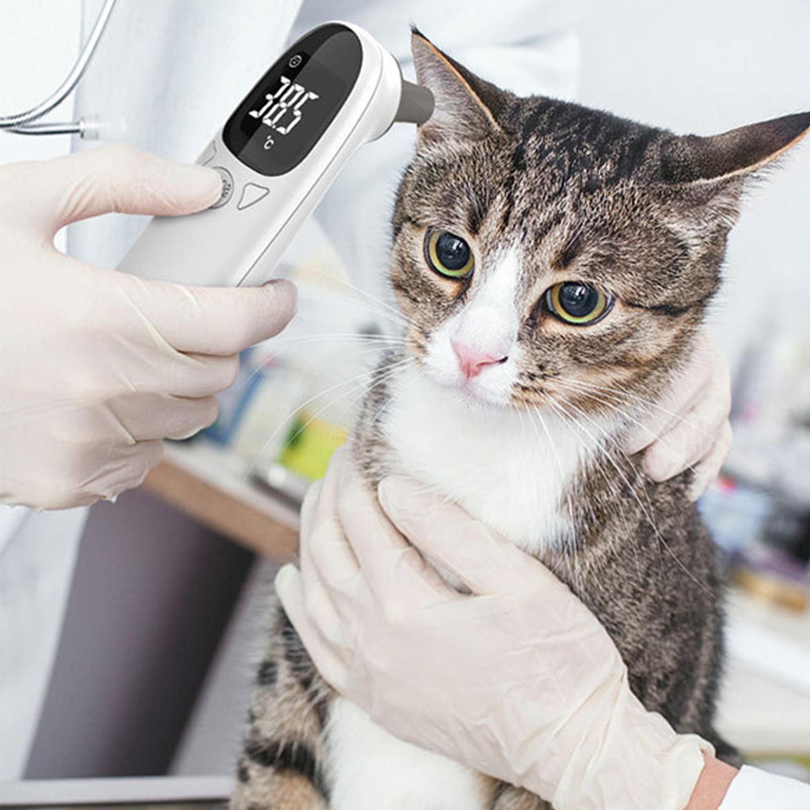 Pet Ear Digital Thermometer No - Pet Supplies Vet 리뷰 및 가격