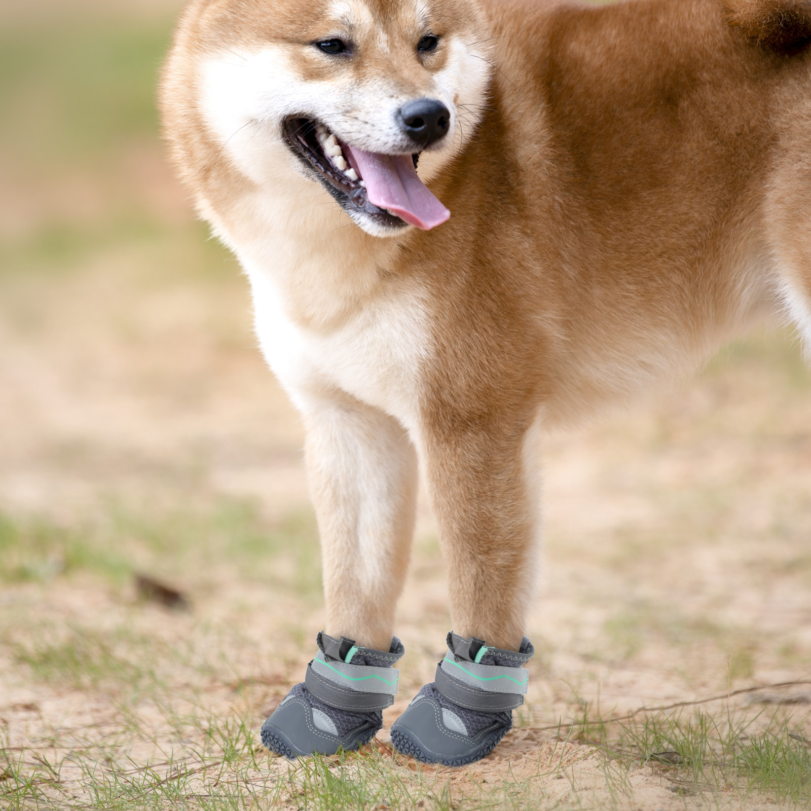 4Pcs Breathable Dog Shoes Non- - Dog Booties Paw Protector 리뷰 및 가격