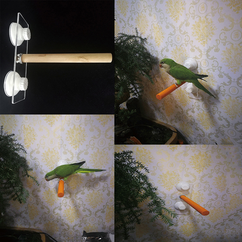 1/2ps Parrot Pet Raw Standing  - Pet X Supplies & Tack Howell Photos 리뷰 및 가격