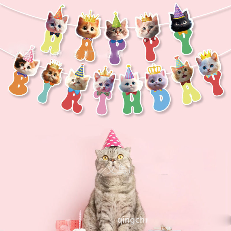 Cat Face Hanging Swirl Decorat - Pet Supplies First 리뷰 및 가격