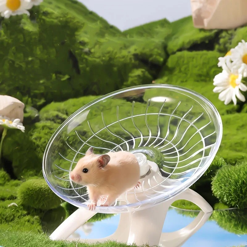 Small Pet Silent Running Pract - Hamster Cage Wheel 리뷰 및 가격