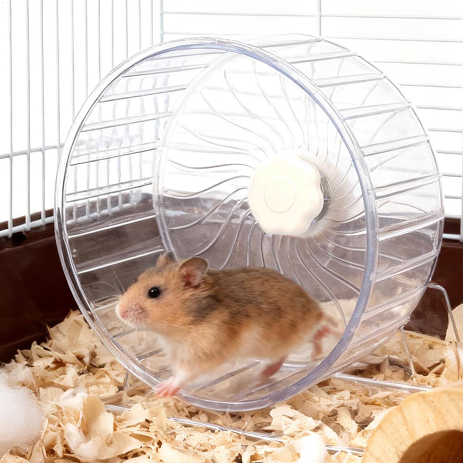 Hamster Running Sport Transpar - Hamster Cage Wheel 리뷰 및 가격