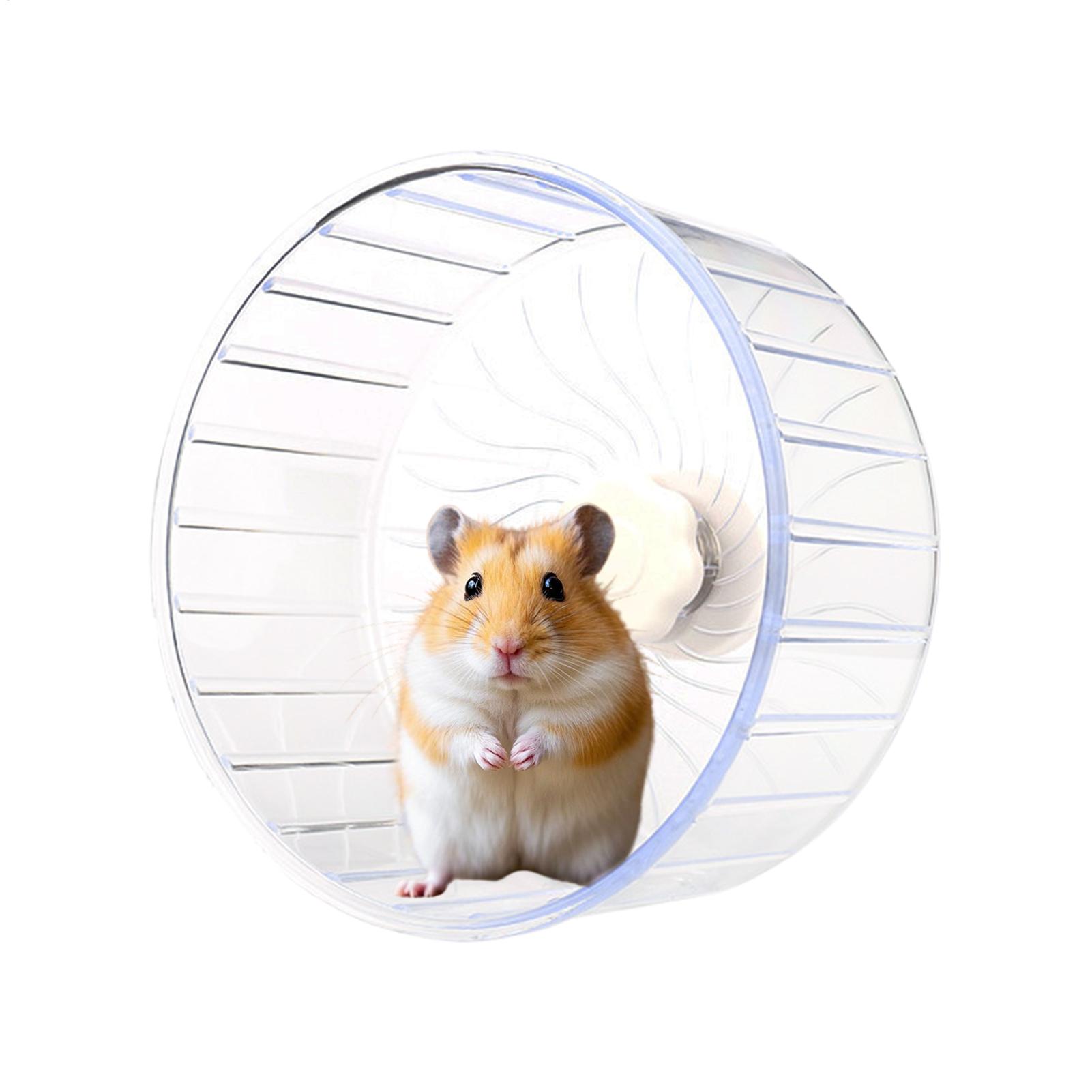 Hamster Running Sport Transpar - Hamster Cage Wheel 리뷰 및 가격