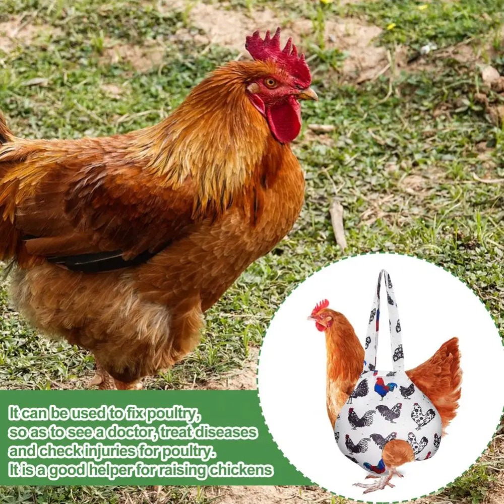Portable Lightweight Chicken H - Pet Supplies Stores 리뷰 및 가격