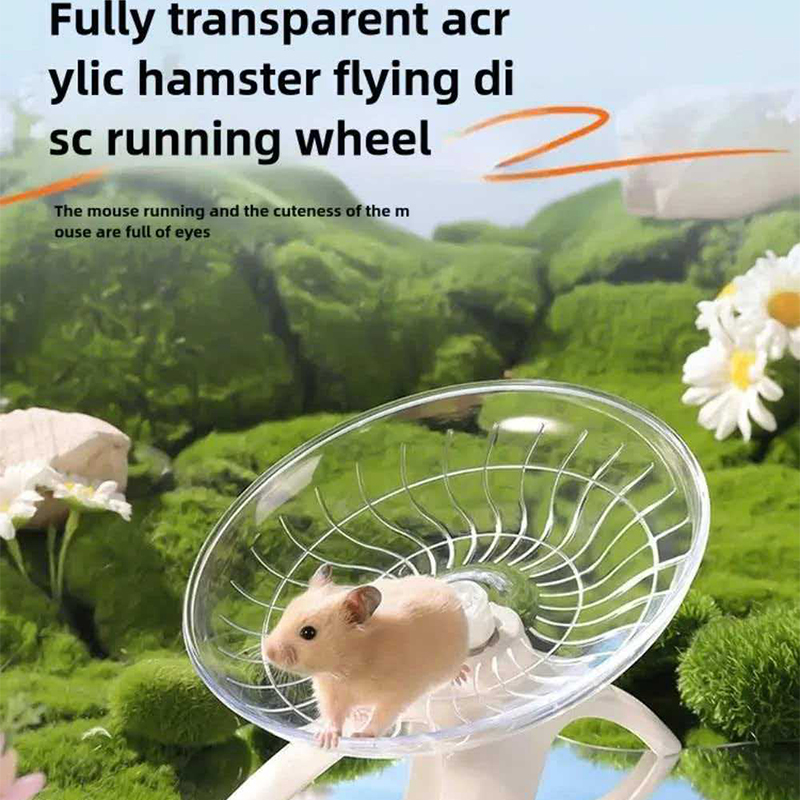 Hamster Silent Flying Saucer W - Hamster Cage Wheel 리뷰 및 가격