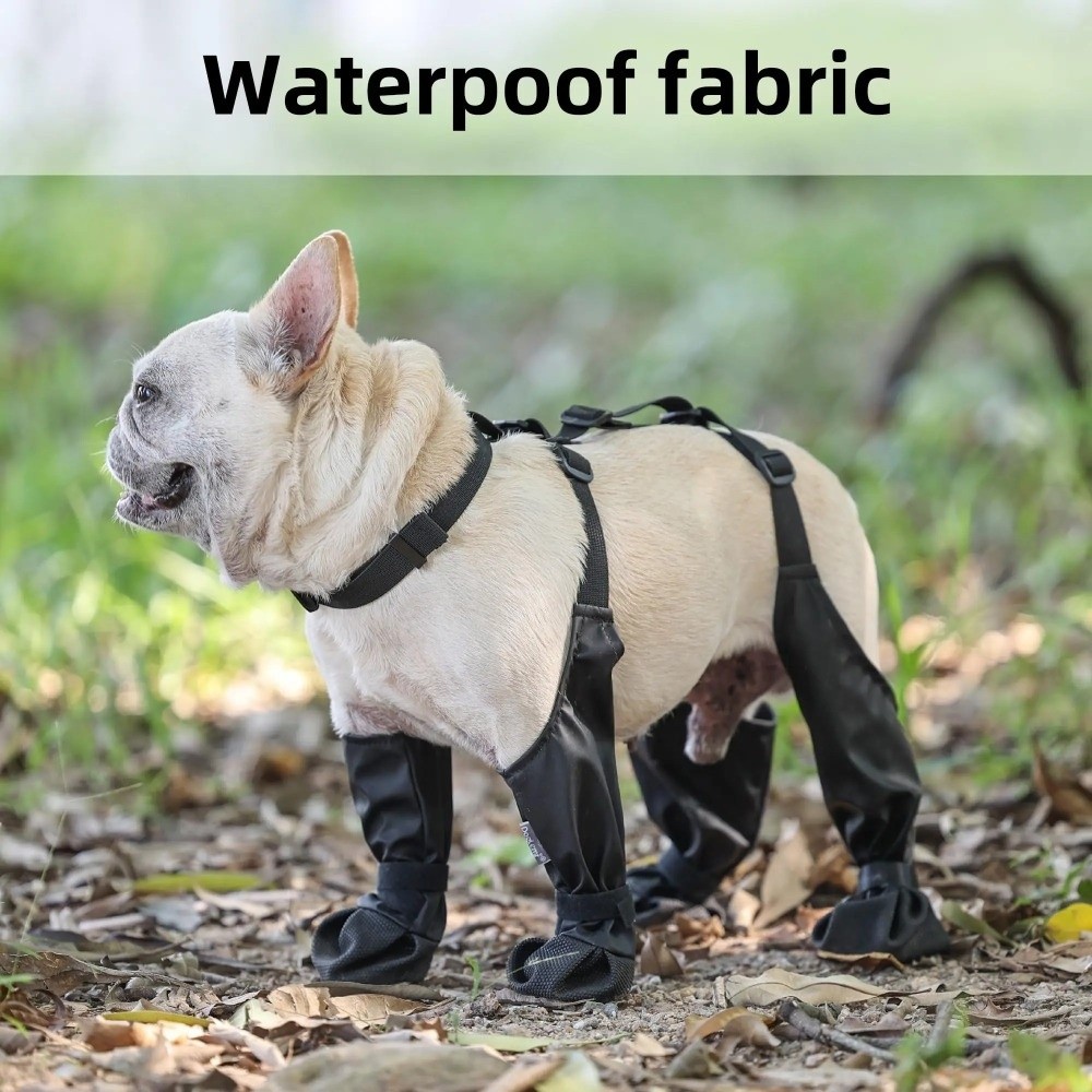 Anti-fall Waterproof Dog Shoes - Dog Booties Paw Protector 리뷰 및 가격