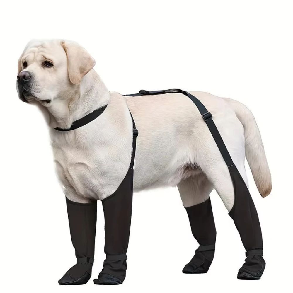 Anti-fall Waterproof Dog Shoes - Dog Booties Paw Protector 리뷰 및 가격