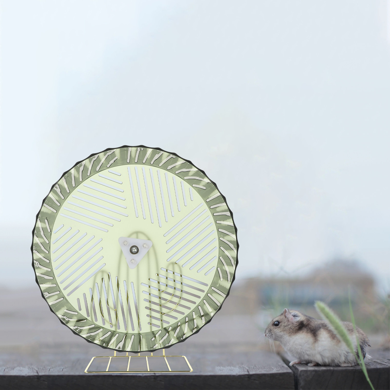 Healthy Growth Hamster Wheel E - Hamster Cage Wheel 리뷰 및 가격