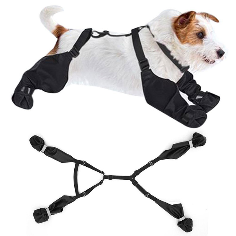Dog Anti-slip Dog Shoes Boots  - Dog Booties Paw Protector 리뷰 및 가격