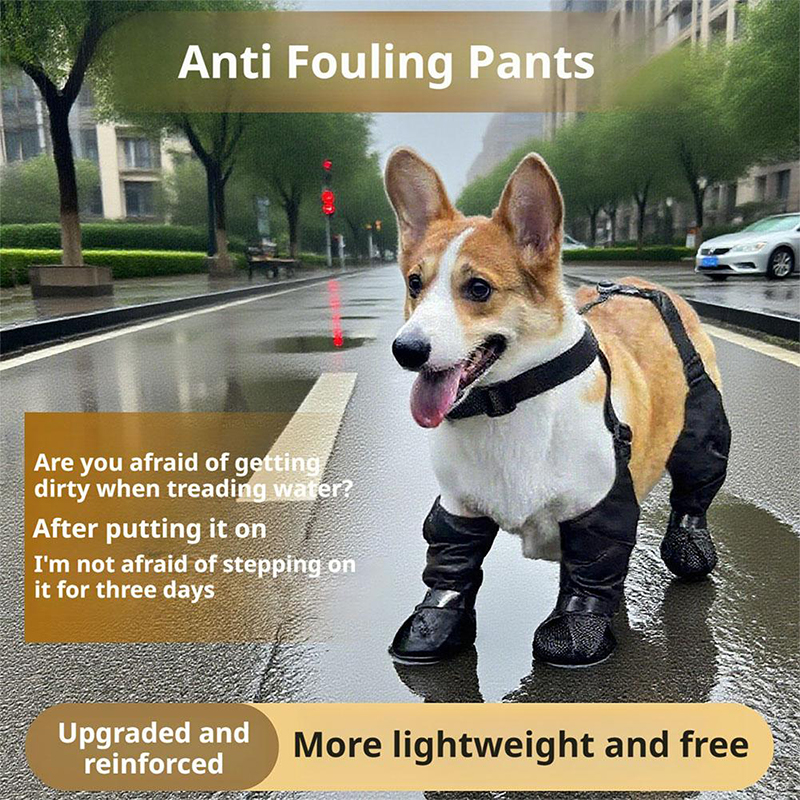Dog Anti-slip Dog Shoes Boots  - Dog Booties Paw Protector 리뷰 및 가격
