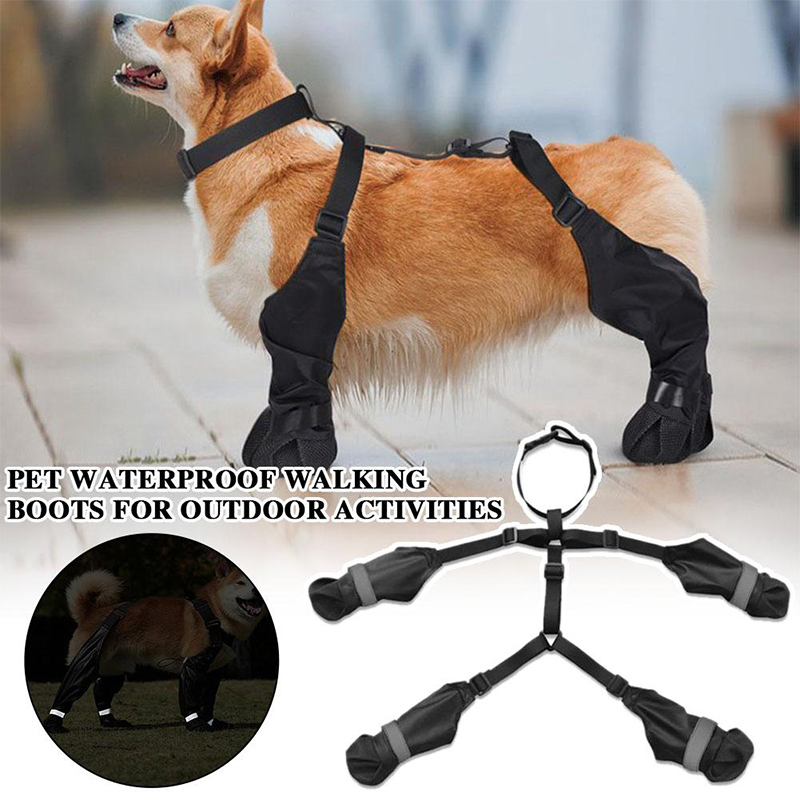 Dog Anti-slip Dog Shoes Boots  - Dog Booties Paw Protector 리뷰 및 가격
