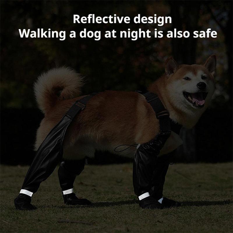 Dog Anti-slip Dog Shoes Boots  - Dog Booties Paw Protector 리뷰 및 가격
