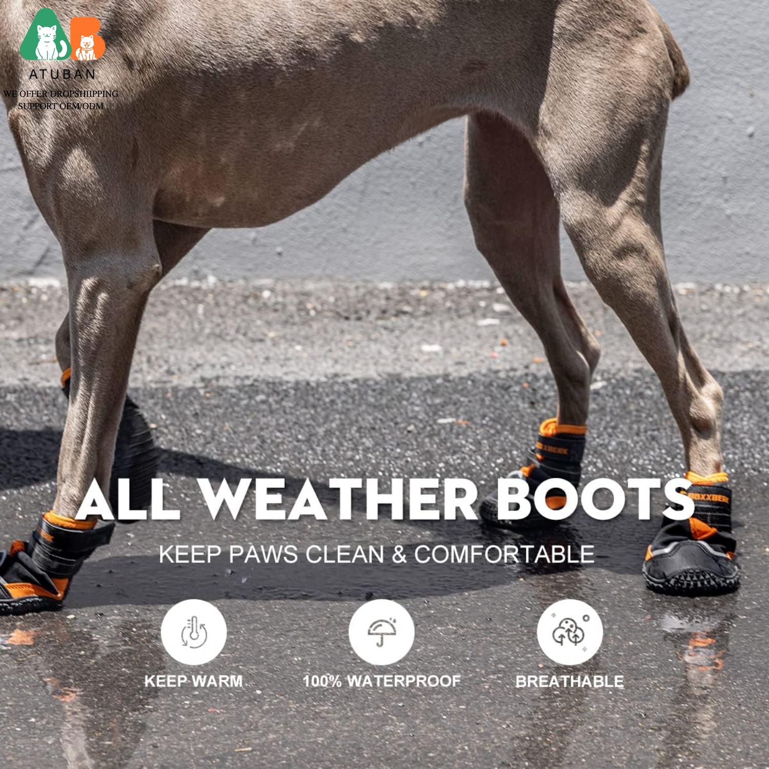ATUBAN Dog Shoes for Dogs,Wate - Dog Booties Paw Protector 리뷰 및 가격