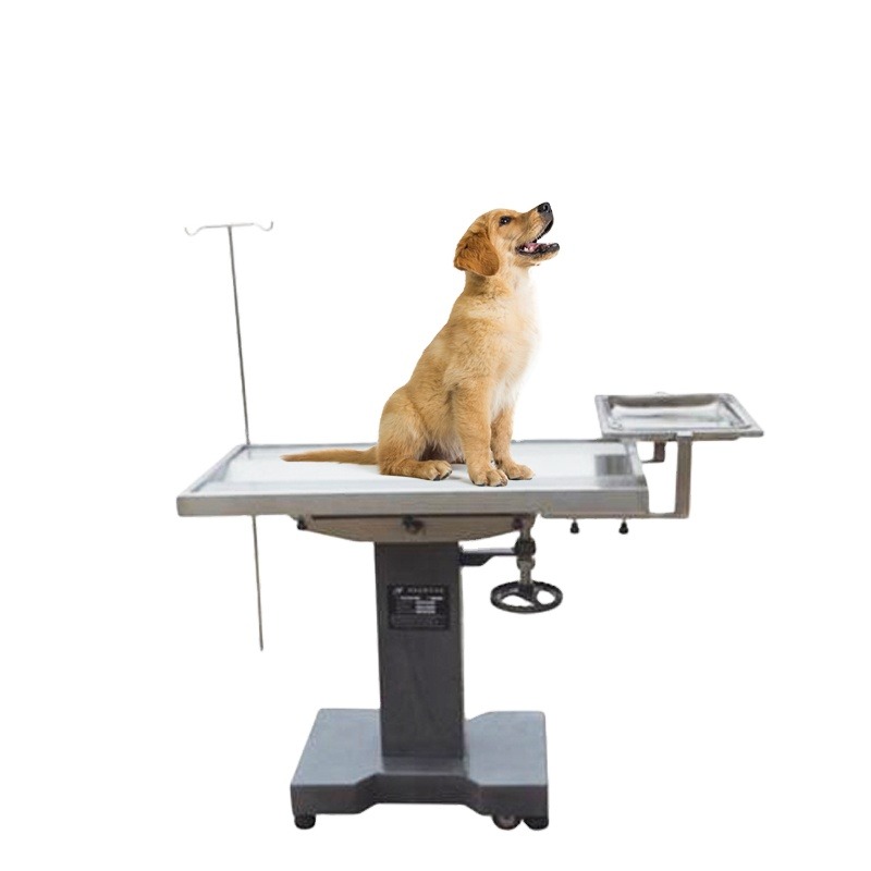 Pet Animals Medical Operation  - Pet Supplies Vet 리뷰 및 가격