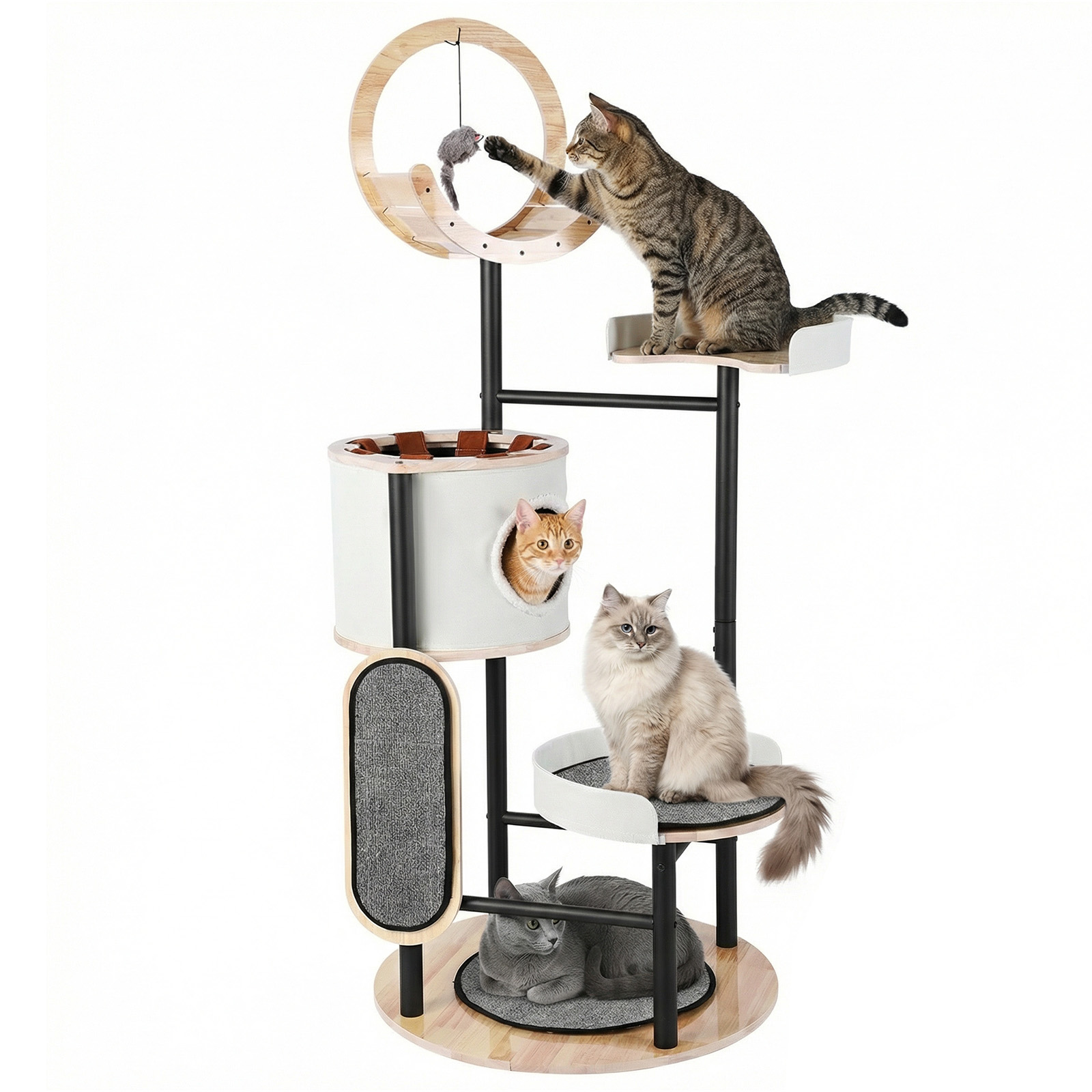 66-Inch Cat Tree with Scratchi - Pet X Supplies & Tack Howell Photos 리뷰 및 가격