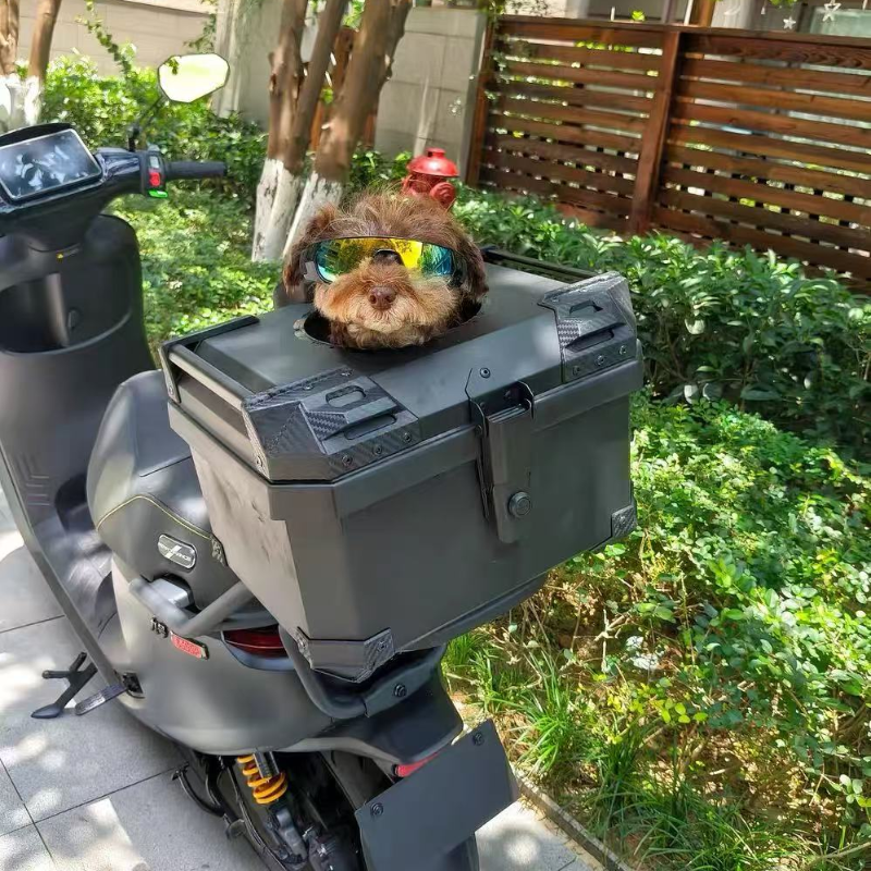 36L/45L/57L/70L Motorcycle tru - Pet Supplies Stores 리뷰 및 가격