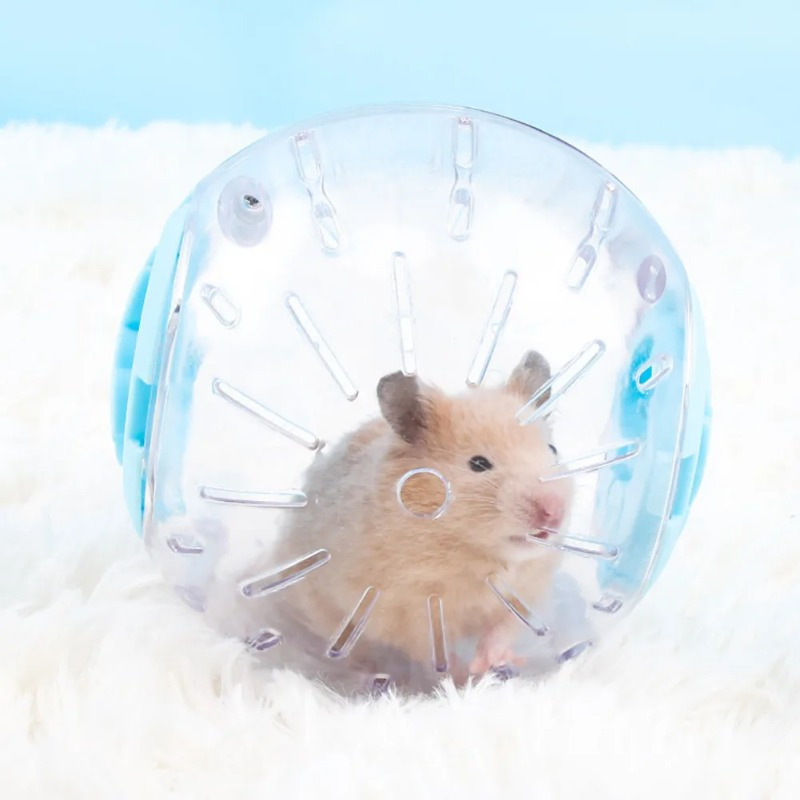 Plastic Outdoor Sport Ball Gro - Hamster Cage Wheel 리뷰 및 가격