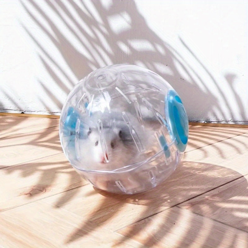 Plastic Outdoor Sport Ball Gro - Hamster Cage Wheel 리뷰 및 가격
