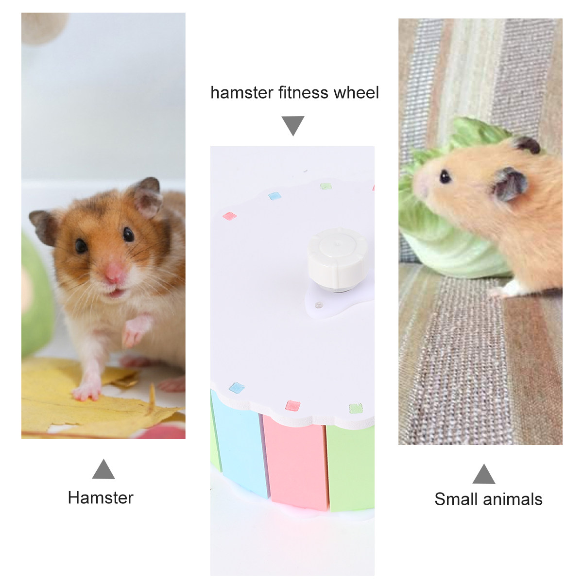 Small Pets Running Wheel Color - Hamster Cage Wheel 리뷰 및 가격