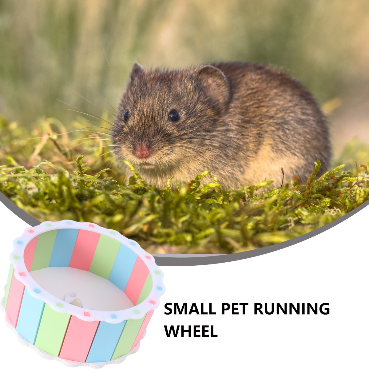 Small Pets Running Wheel Color - Hamster Cage Wheel 리뷰 및 가격