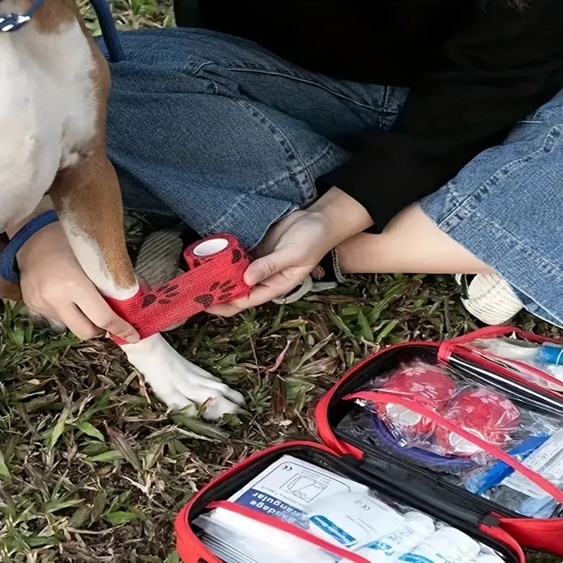 Compact pet First Aid kit for  - Pet Supplies First 리뷰 및 가격