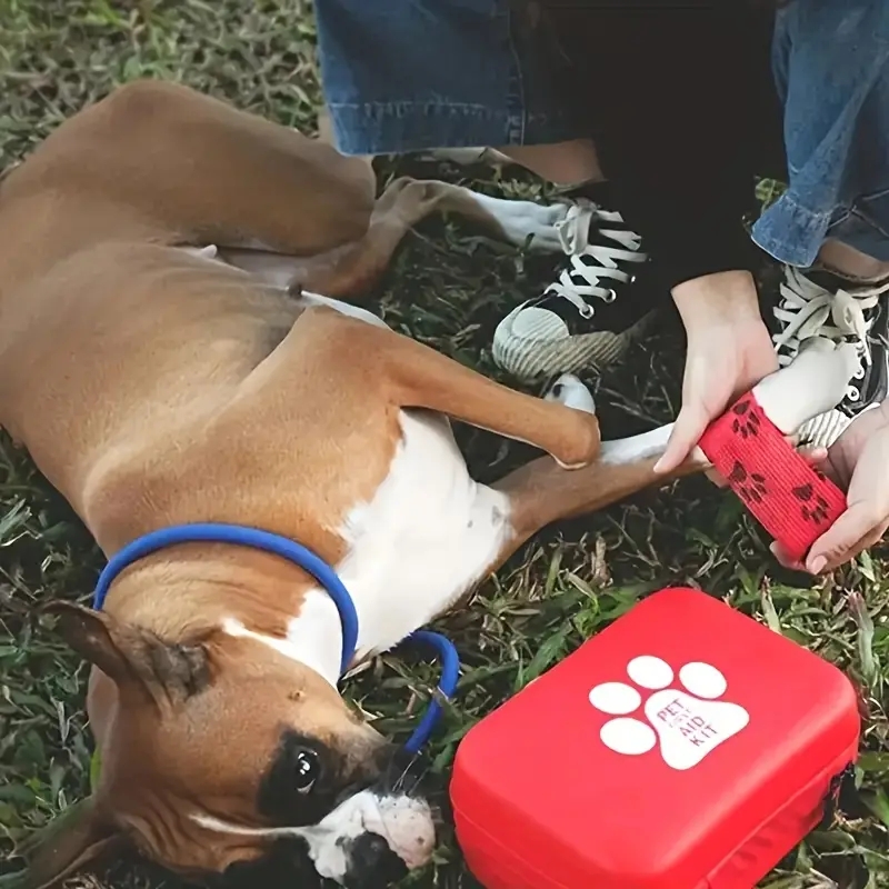 Compact pet First Aid kit for  - Pet Supplies First 리뷰 및 가격