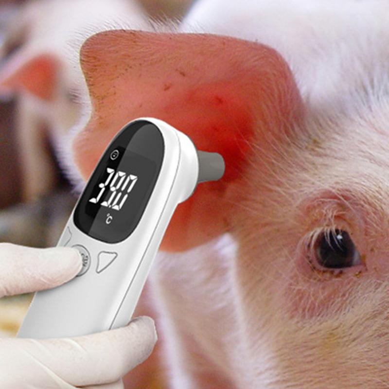 Pet Thermometers For Dogs Vet  - Pet Supplies Vet 리뷰 및 가격