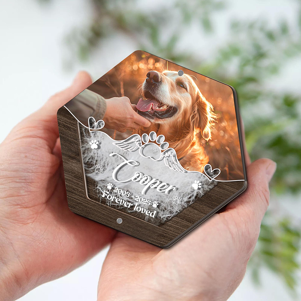 Personalized Name Wooden Carvi - Pet Supplies Stores 리뷰 및 가격