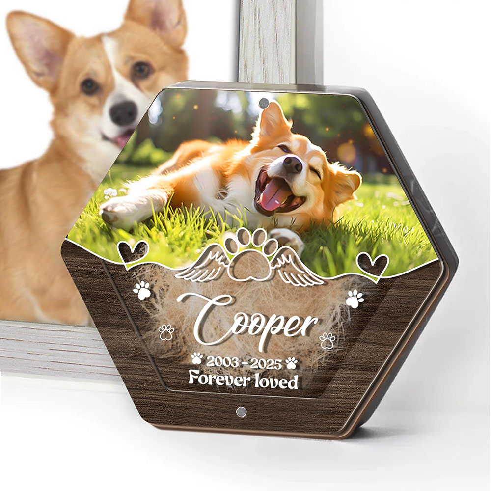 Personalized Name Wooden Carvi - Pet Supplies Stores 리뷰 및 가격