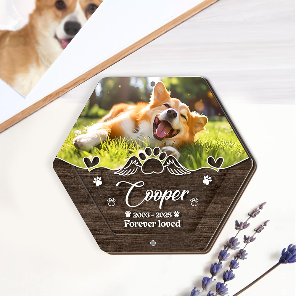 Personalized Name Wooden Carvi - Pet Supplies Stores 리뷰 및 가격