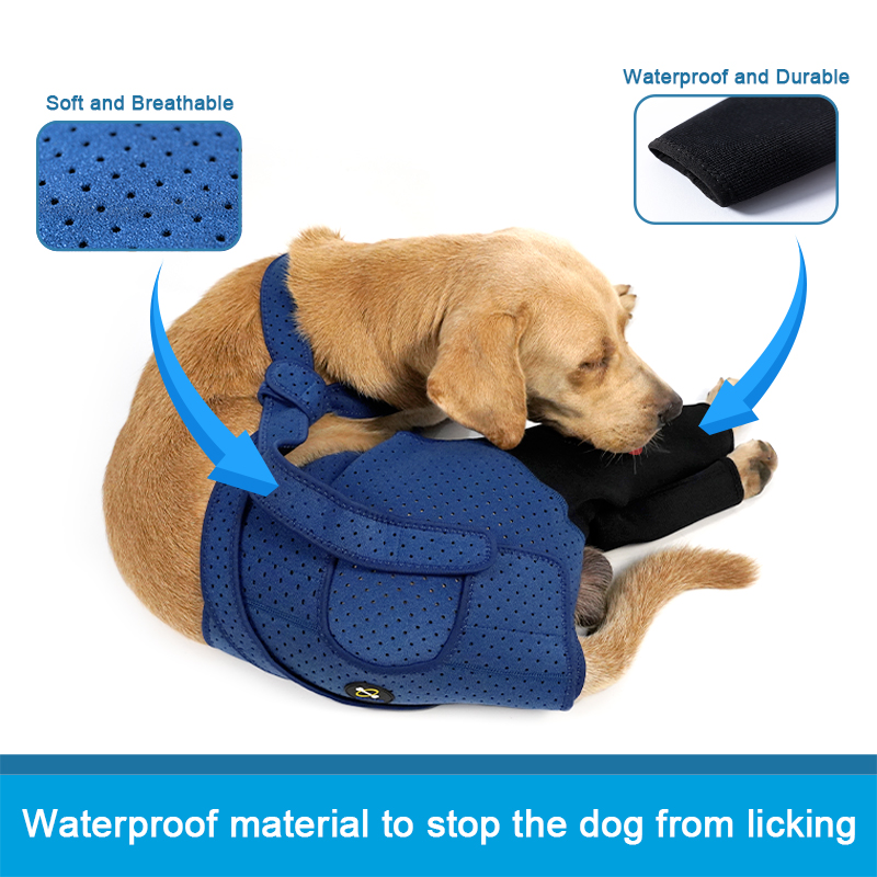 Fashion Dog Rear Leg Booties B - Dog Booties Paw Protector 리뷰 및 가격