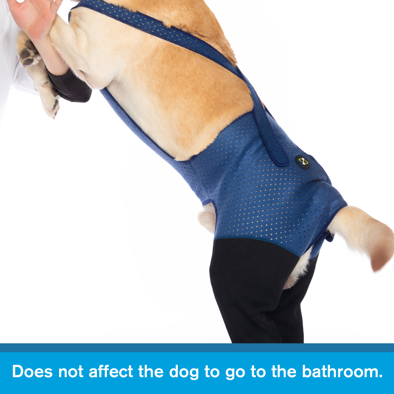 Fashion Dog Rear Leg Booties B - Dog Booties Paw Protector 리뷰 및 가격