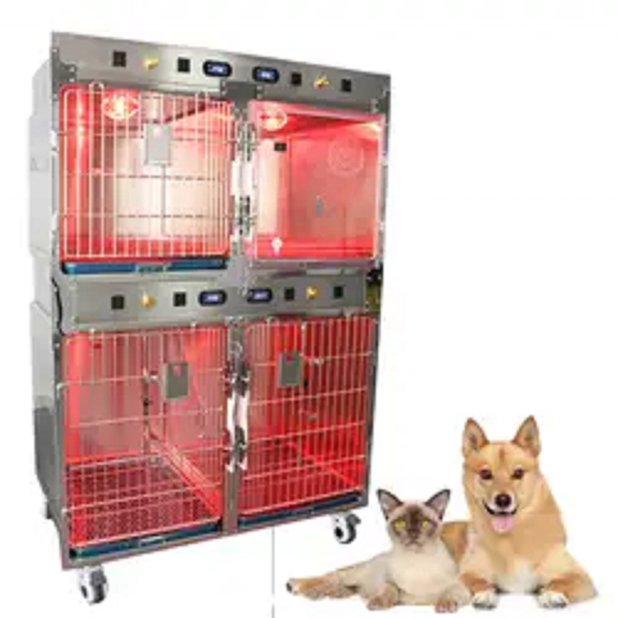 Pet Care Best Selling Cage Cat - Pet Supplies Vet 리뷰 및 가격