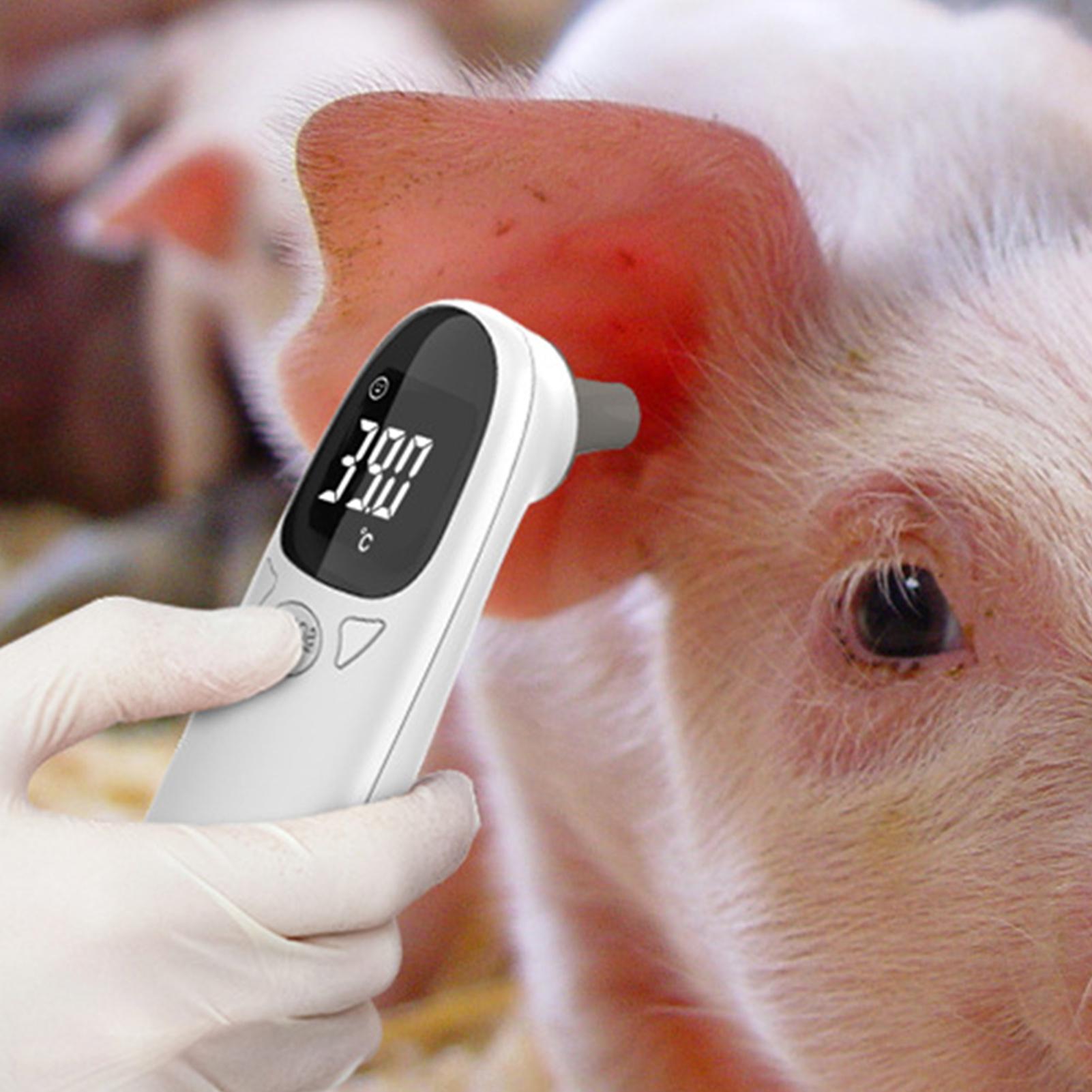 Animal Temperature Detector Du - Pet Supplies Vet 리뷰 및 가격