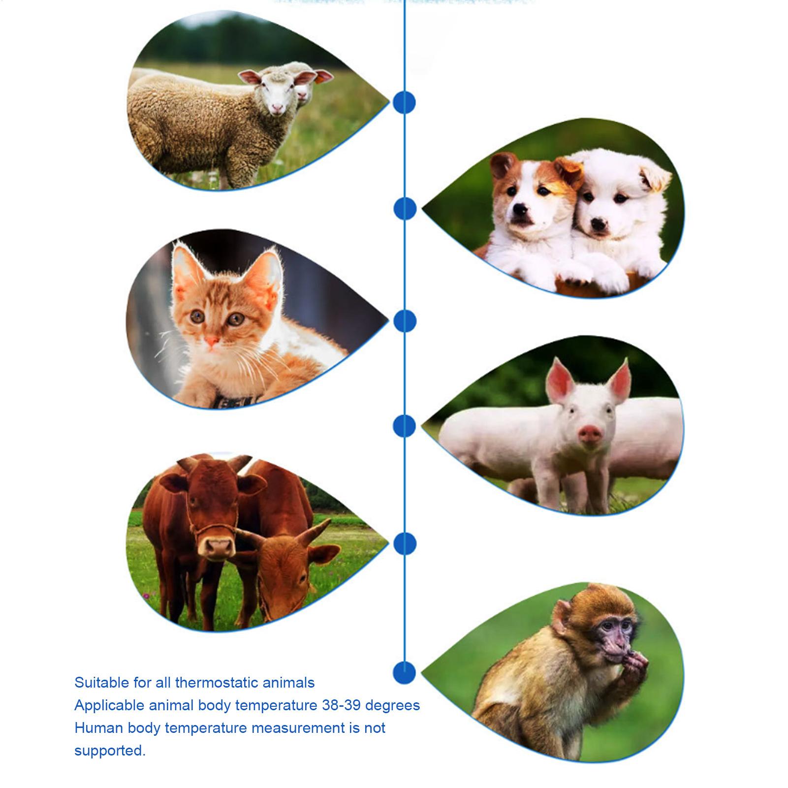 Animal Temperature Detector Du - Pet Supplies Vet 리뷰 및 가격