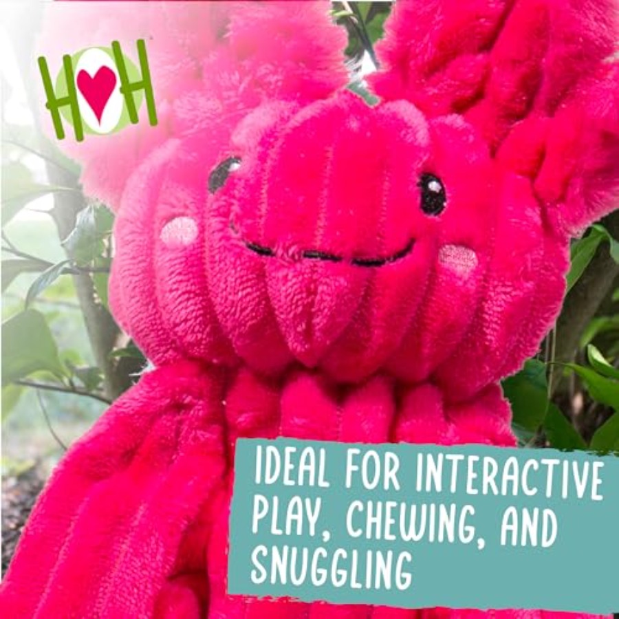 X-Brace Squeaky Dog Toy - Inte - Pet X Supplies & Tack Howell Photos 리뷰 및 가격
