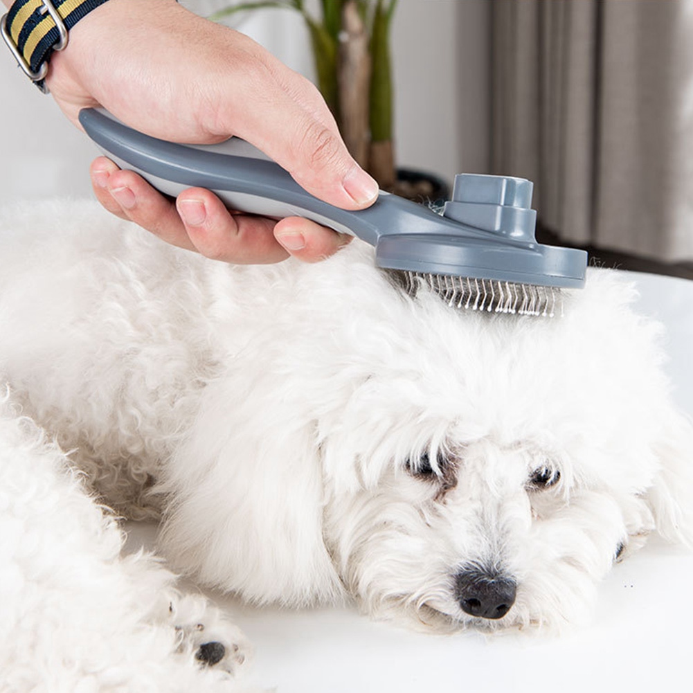 【PRICE REDUCT】High Quality Pet - Pet Supplies Grooming Prices 리뷰 및 가격