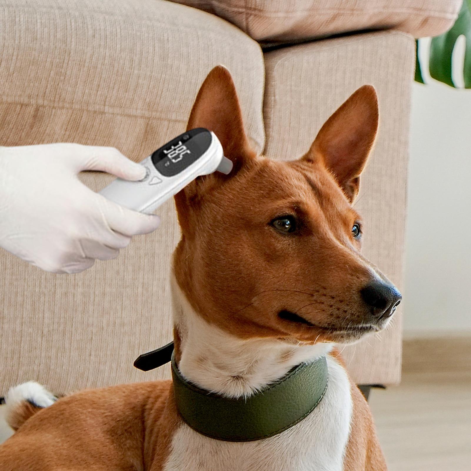 Dog Cat Ear Thermometer Medica - Pet Supplies Vet 리뷰 및 가격