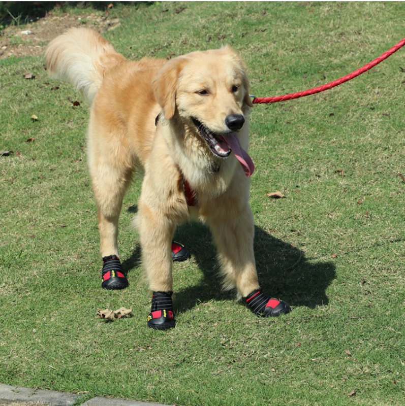 Breathable Mesh Dog Shoes Outd - Dog Booties Paw Protector 리뷰 및 가격