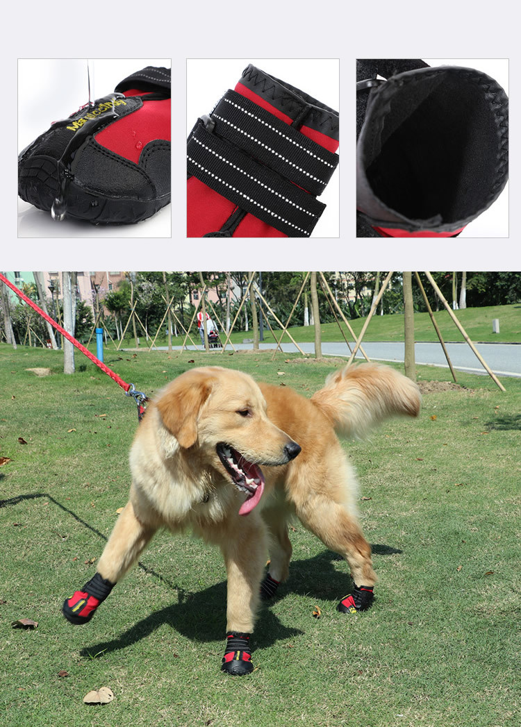Breathable Mesh Dog Shoes Outd - Dog Booties Paw Protector 리뷰 및 가격