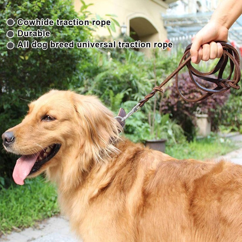 First layer cowhide leash Germ - Pet Supplies First 리뷰 및 가격