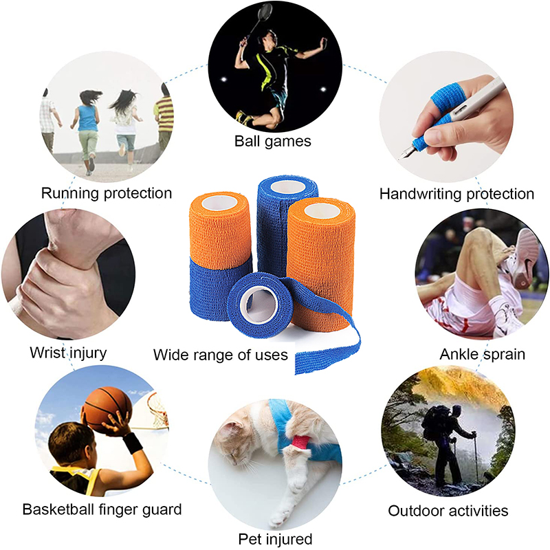 Pexmen 6Colors Self Adhesive B - Pet Supplies First 리뷰 및 가격