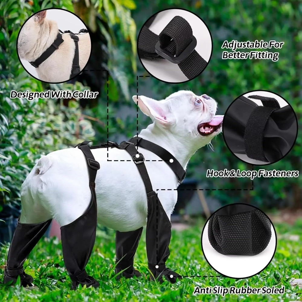 Anti-fall Waterproof Dog Shoes - Dog Booties Paw Protector 리뷰 및 가격