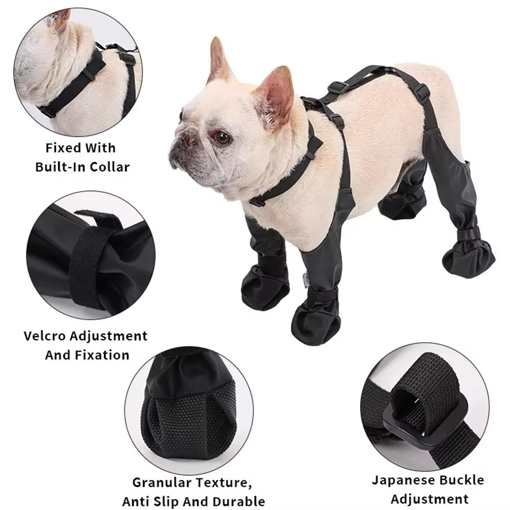 Anti-fall Waterproof Dog Shoes - Dog Booties Paw Protector 리뷰 및 가격