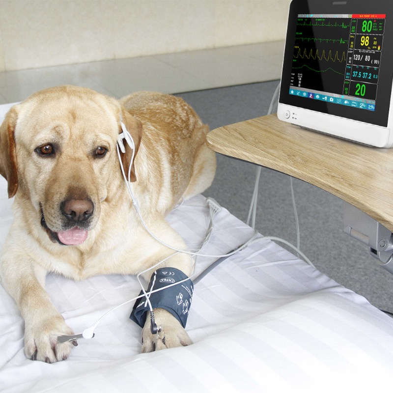 Veterinary Pet Touch Screen Po - Pet Supplies Vet 리뷰 및 가격
