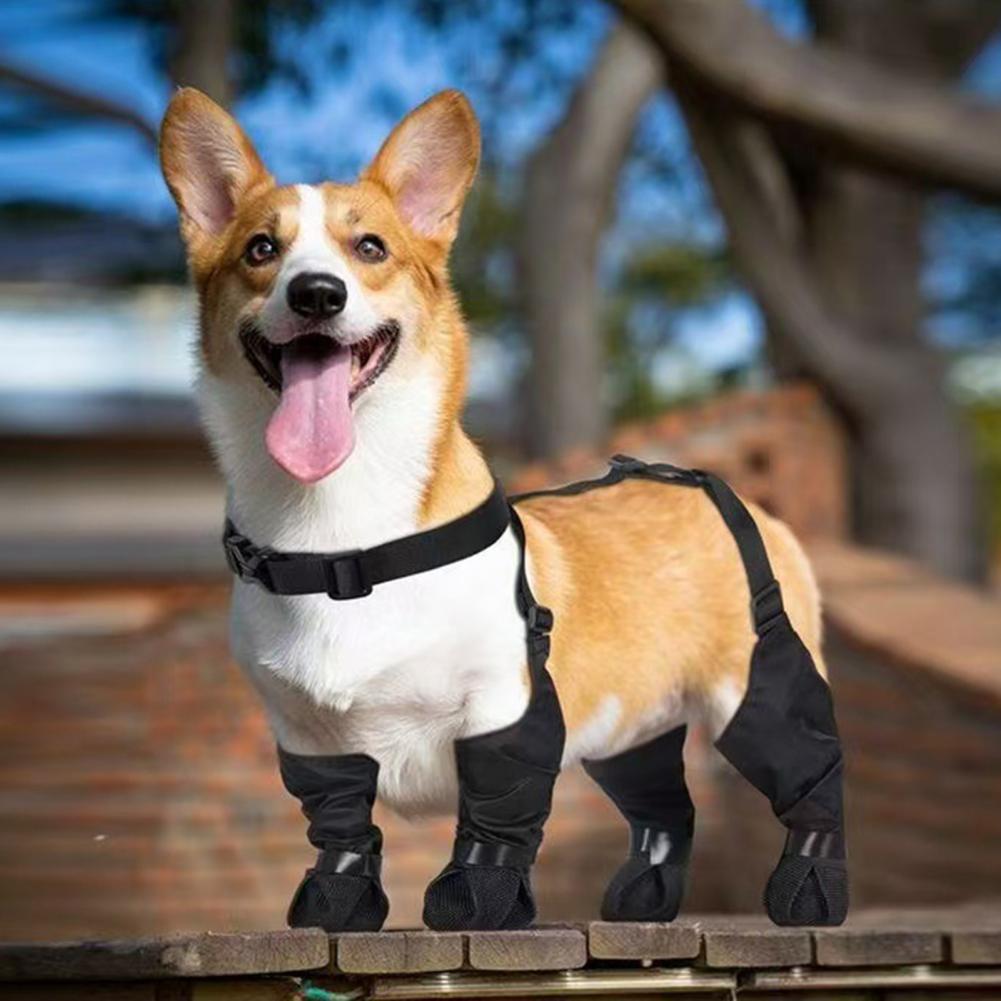 Dog Rain Boots Suspender Water - Dog Booties Paw Protector 리뷰 및 가격