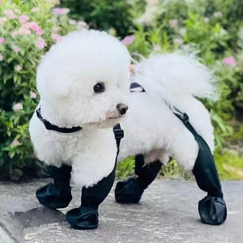 Dog Rain Boots Suspender Water - Dog Booties Paw Protector 리뷰 및 가격