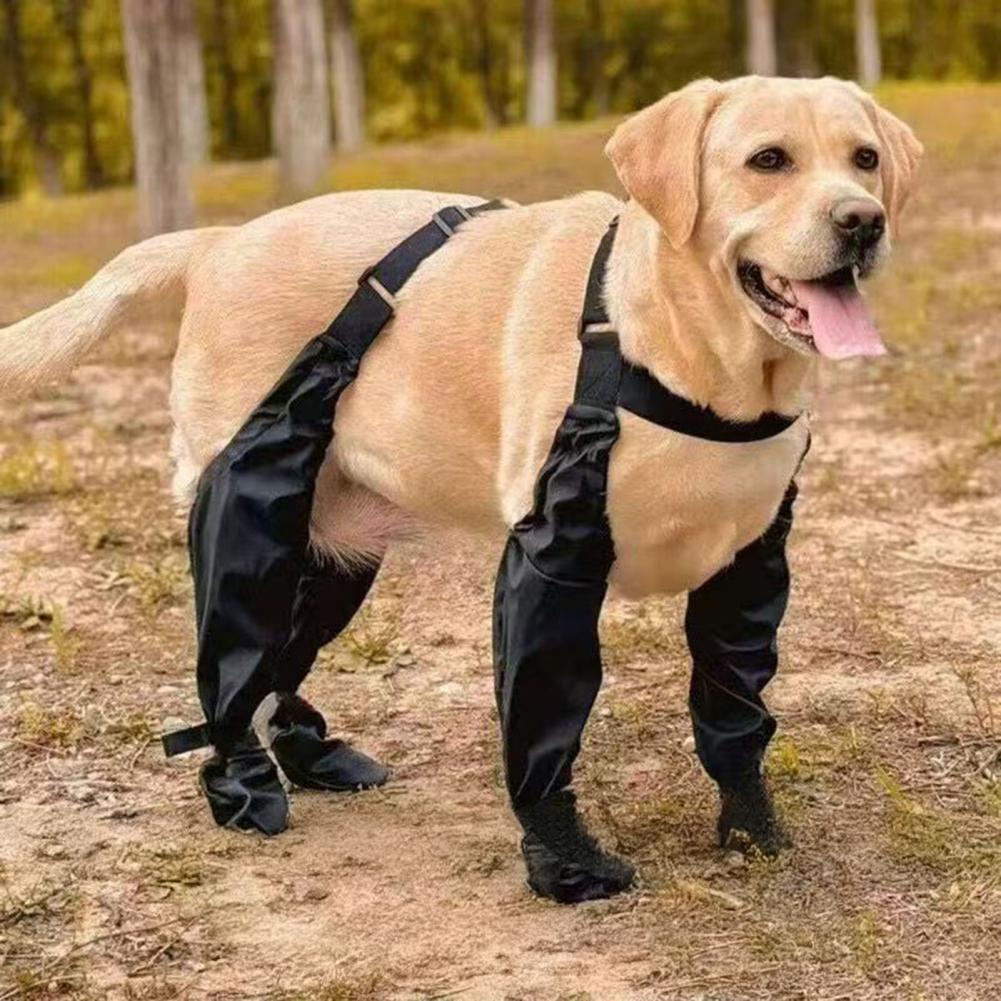 Dog Rain Boots Suspender Water - Dog Booties Paw Protector 리뷰 및 가격
